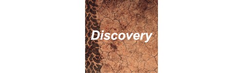 Discovery