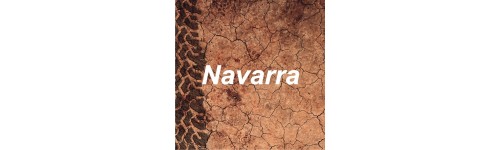 Navarra